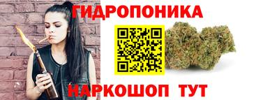 мдпв Заводоуковск