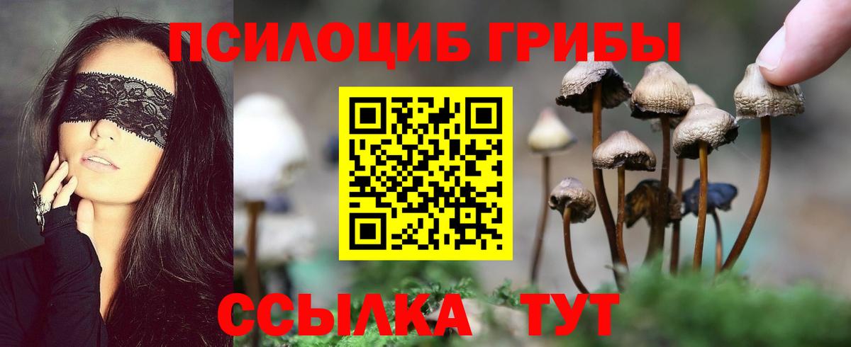 Псилоцибиновые грибы Psilocybine cubensis  Вход с VPN  Кувандык 